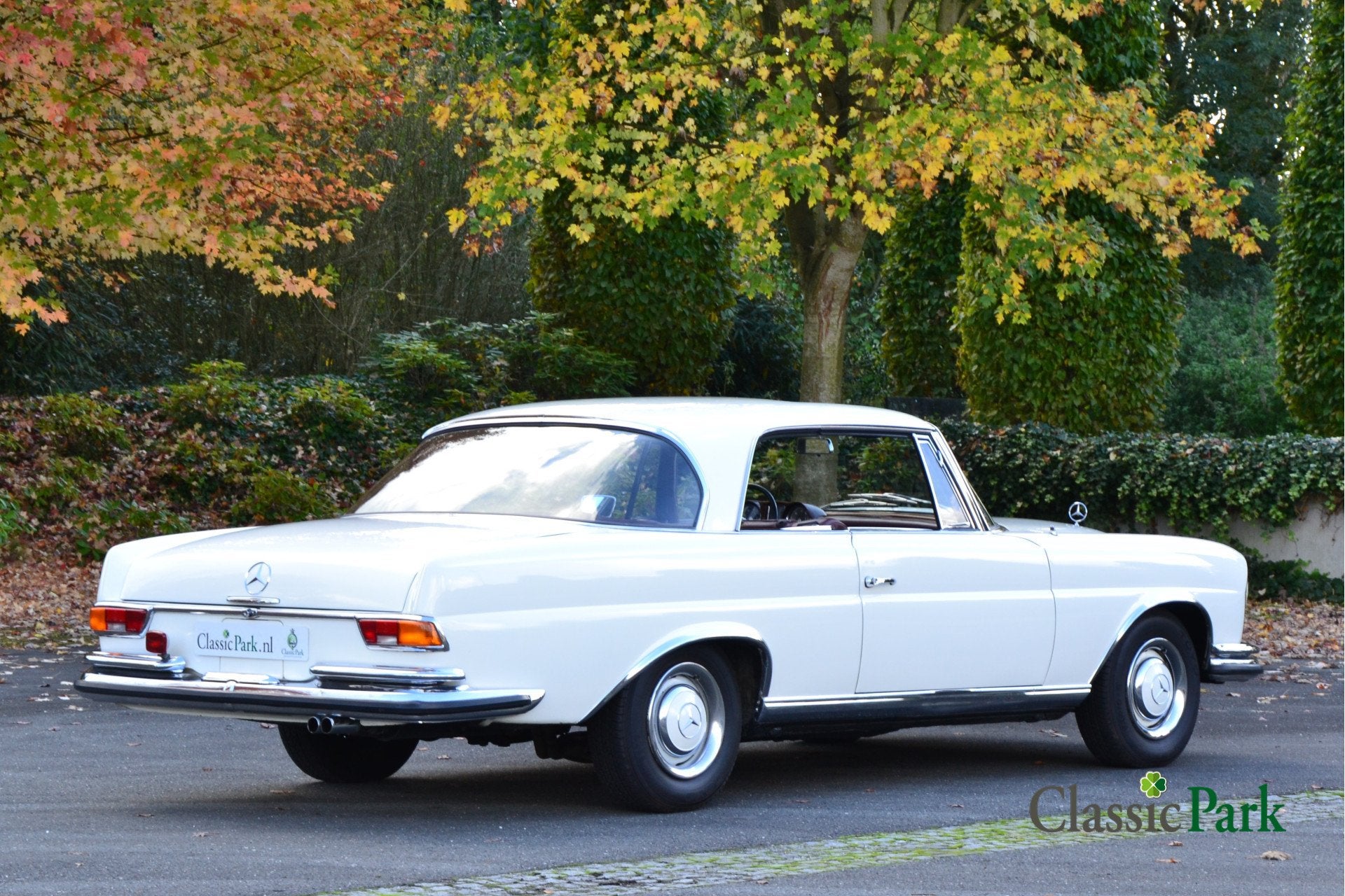 Mercedes-Benz 200-serie 250 SE Coupé (bj 1966, automaat), foto 5