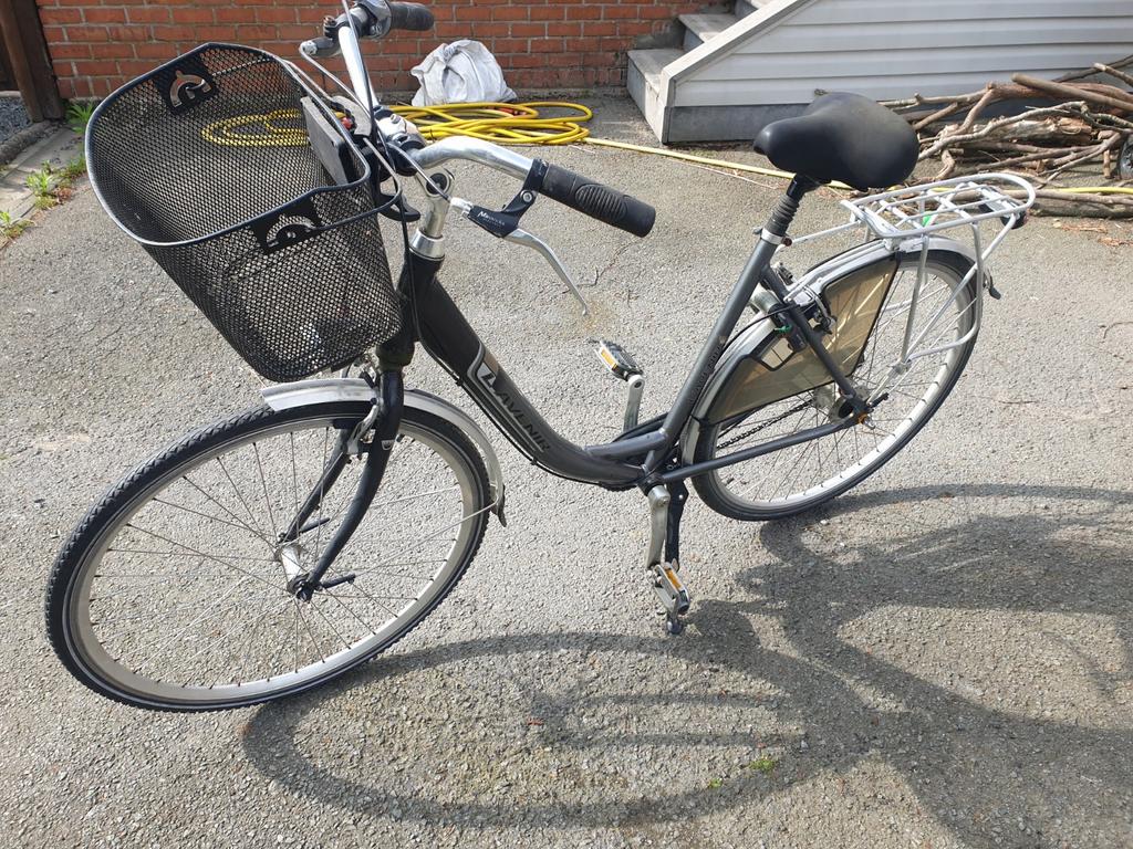 L avenir damesfiets, Ophalen