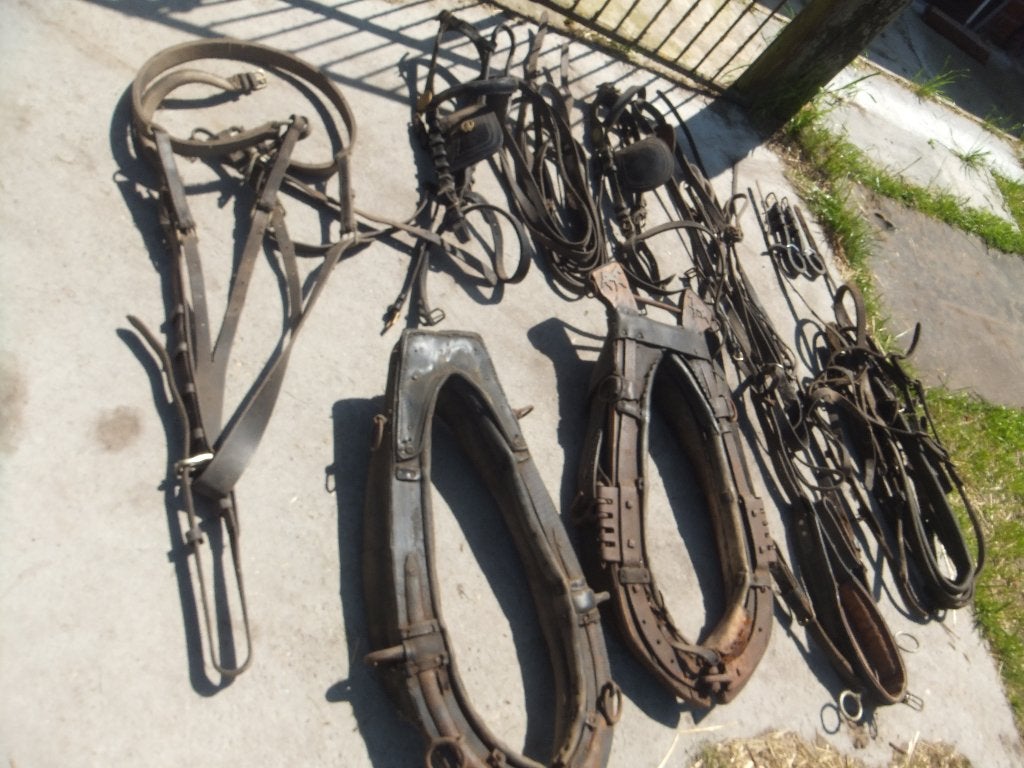 paardengerief ,, Dieren en Toebehoren, Ophalen, Gebruikt, Overige maten, Overige merken