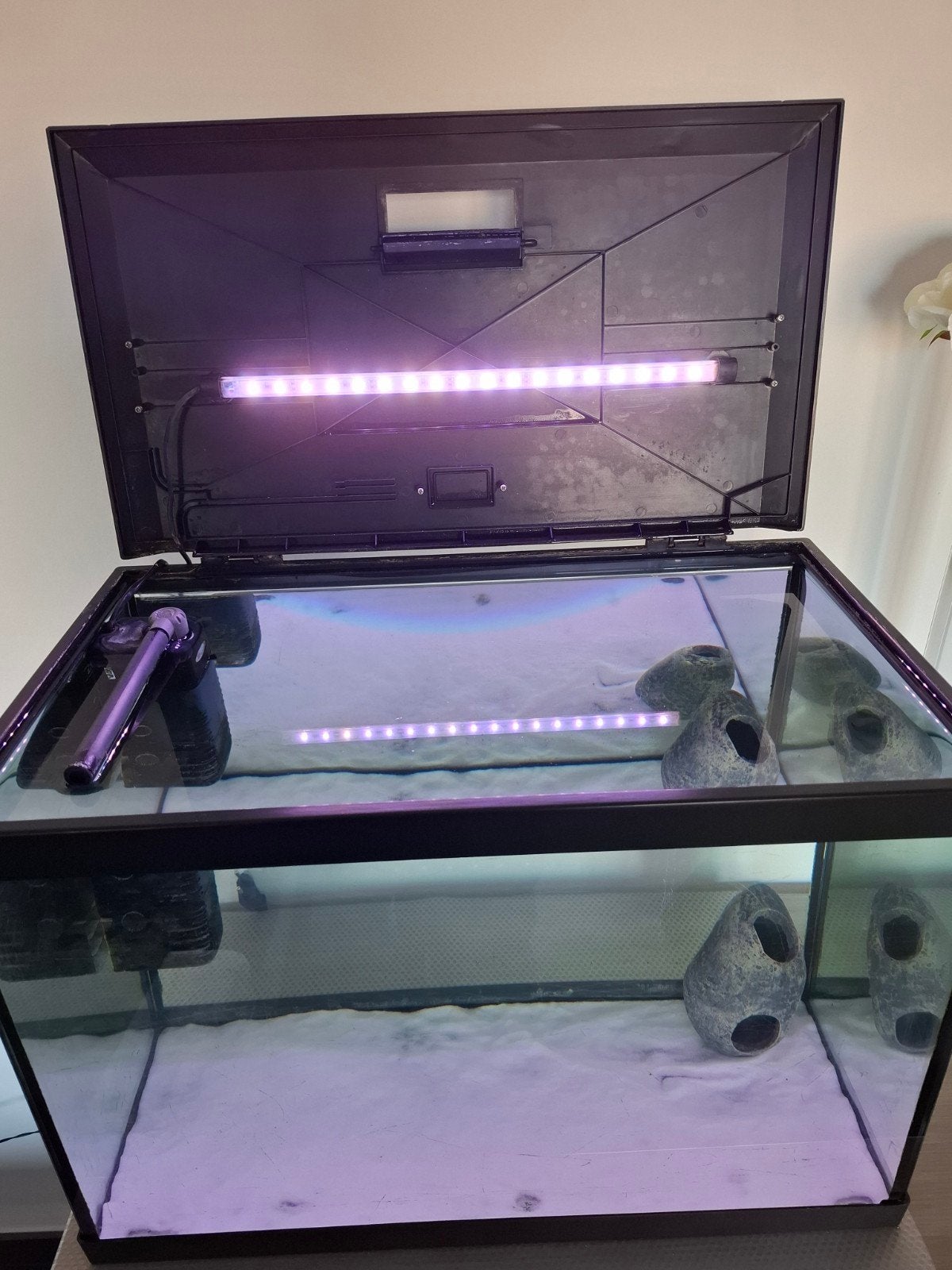 70 liter aquarium, Enlèvement, Accessoires inclus, Utilisé
