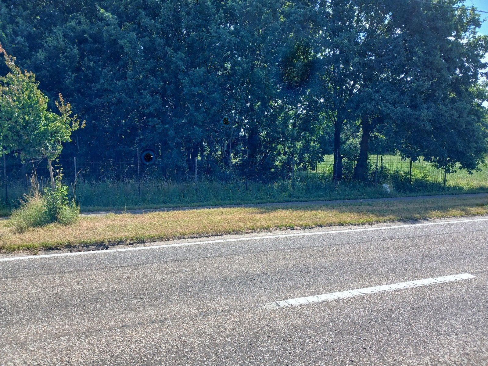 Landbouwgrond en eikenbos, Immo, Terrains & Terrains à bâtir