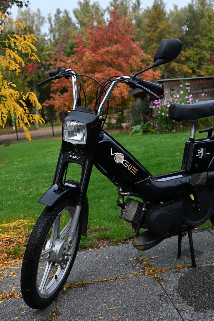 Peugeot Vogue Classe B, Autres modèles, 1 vitesses, 49 cm³, Classe B (45 km/h)