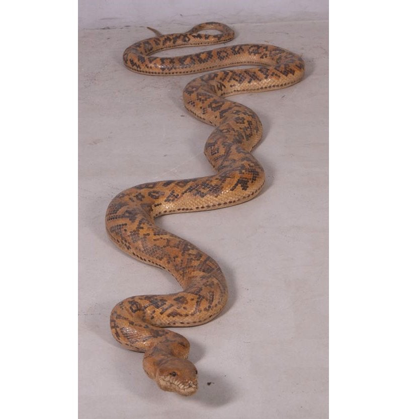 Python-beeld — Slang, lengte 253 cm, Ophalen, Nieuw