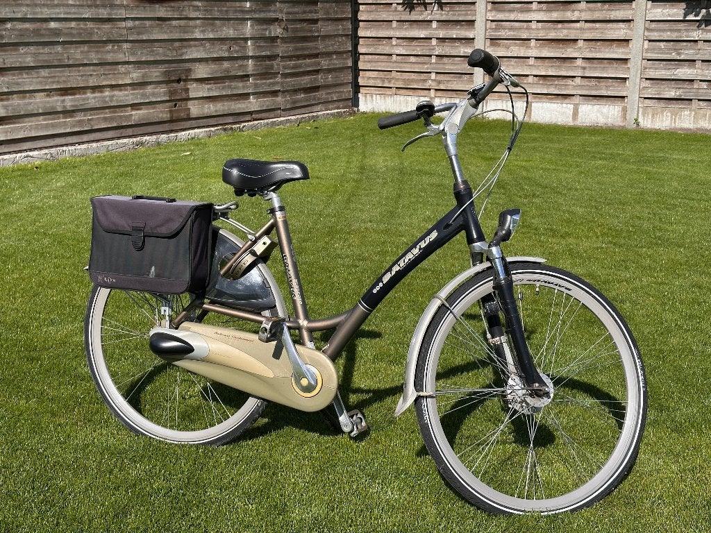 Damesfiets BATAVUS, Ophalen, Gebruikt, Velgrem, Versnellingen