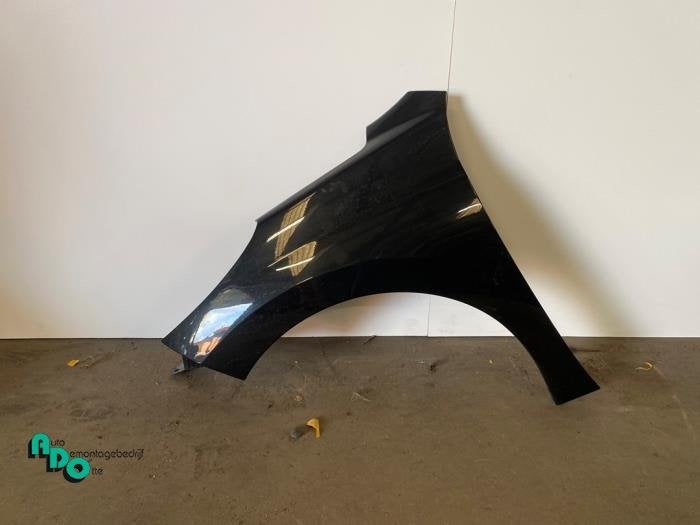 Scherm links-voor van een Peugeot 207 (207 06-) (EXLD), Gebruikt, -, -, Ophalen of Verzenden