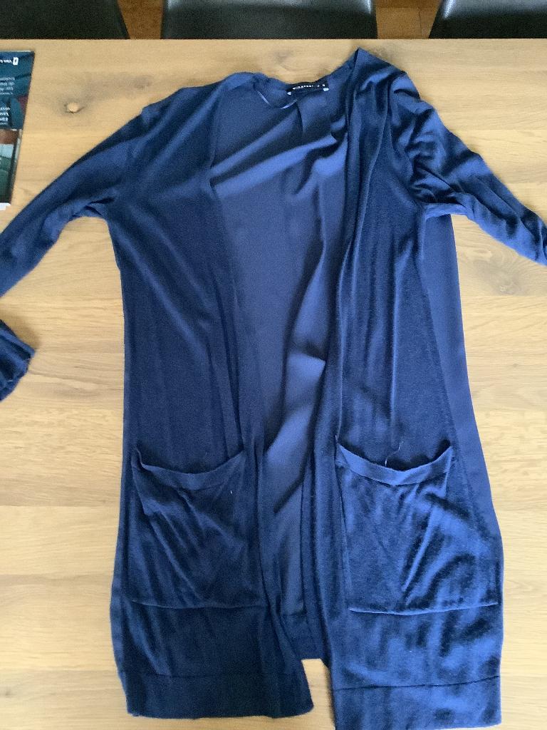 golfje (Expresso) met voile rug maat M, Kleding | Dames, Maat 38/40 (M), Ophalen of Verzenden, Zo goed als nieuw, Expresso