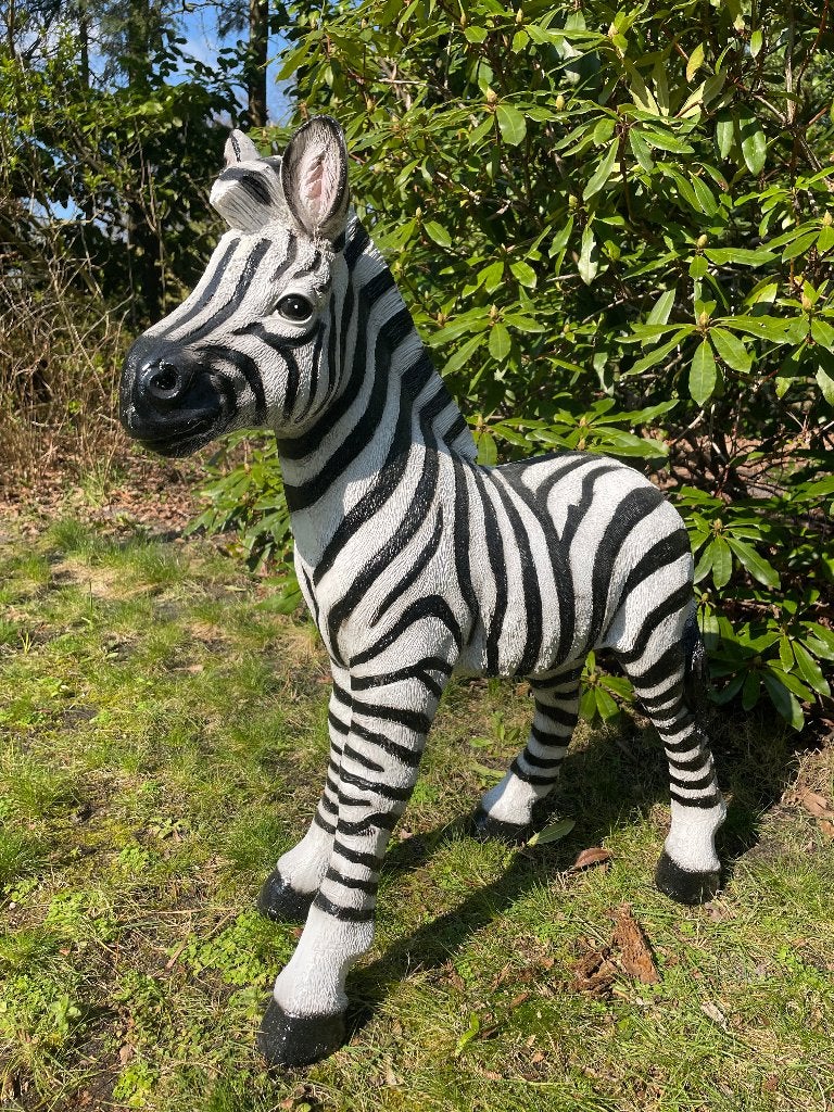 Beeld zebra, tuin, zwembad, vijver, woonkamer 70cm, Ophalen, Nieuw, Kunststof, Dierenbeeld