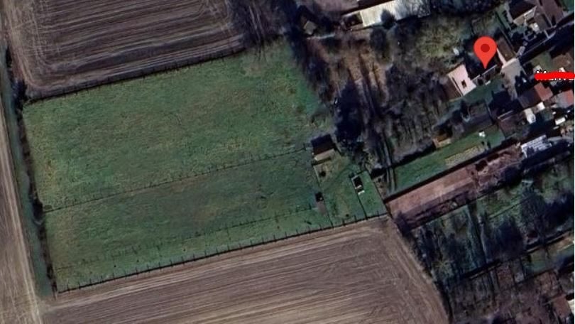 Paardenweide 1ha met stallingen en water te huur, Stalling, 4 paarden of pony's of meer