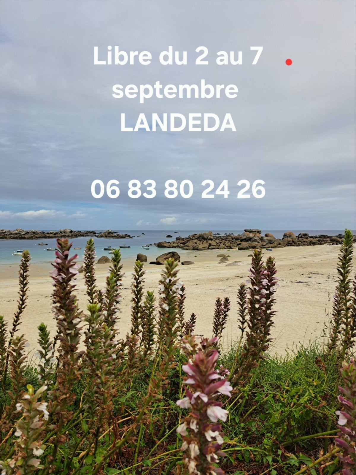 Bretagne - Beschikbaar van 2 tot 7 september - Maison Mer Pl, Bretagne, Eigenaar, Landelijk, Internet