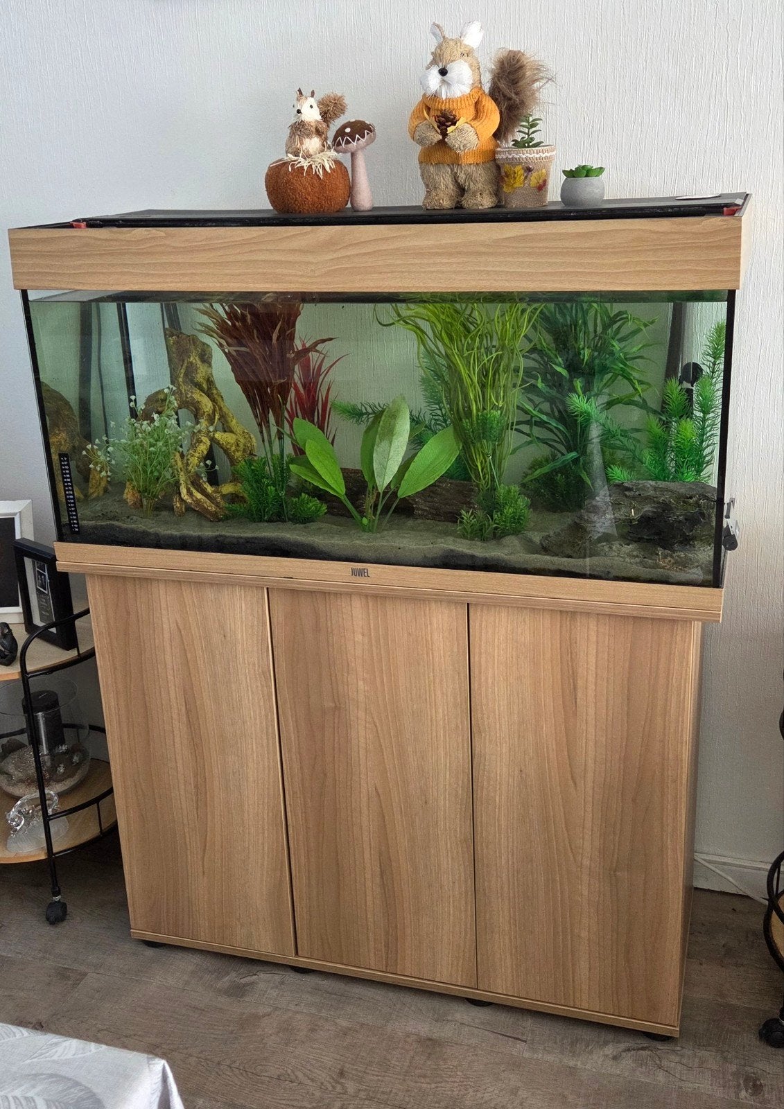 Volledige aquarium tekoop, Dieren en Toebehoren, Ophalen