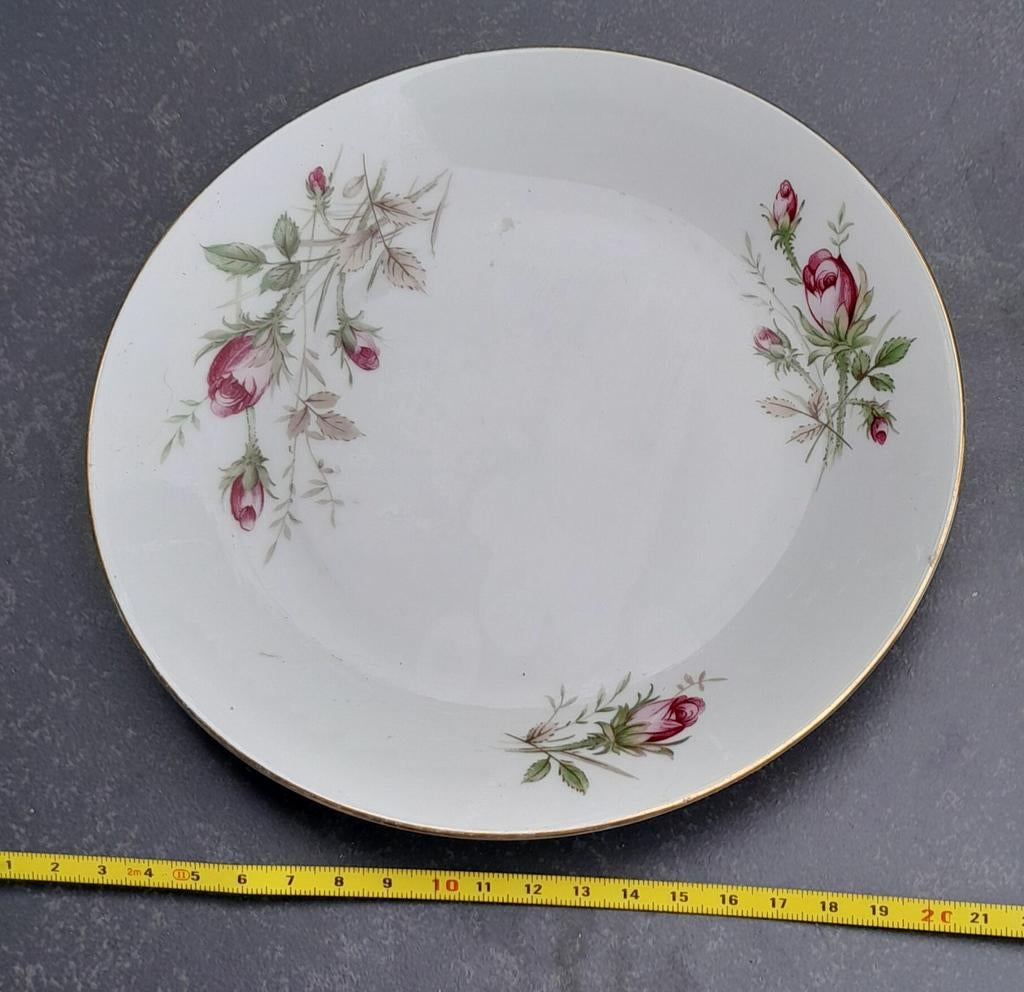 Prachtig porseleinen bord met rozen Bavaria, Ophalen of Verzenden