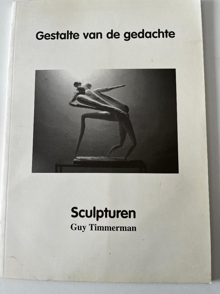 Guy Timmerman - Gestalte van de gedachte, Boeken, Kunst en Cultuur | Beeldend, Zo goed als nieuw, Beeldhouwkunst, Ophalen of Verzenden