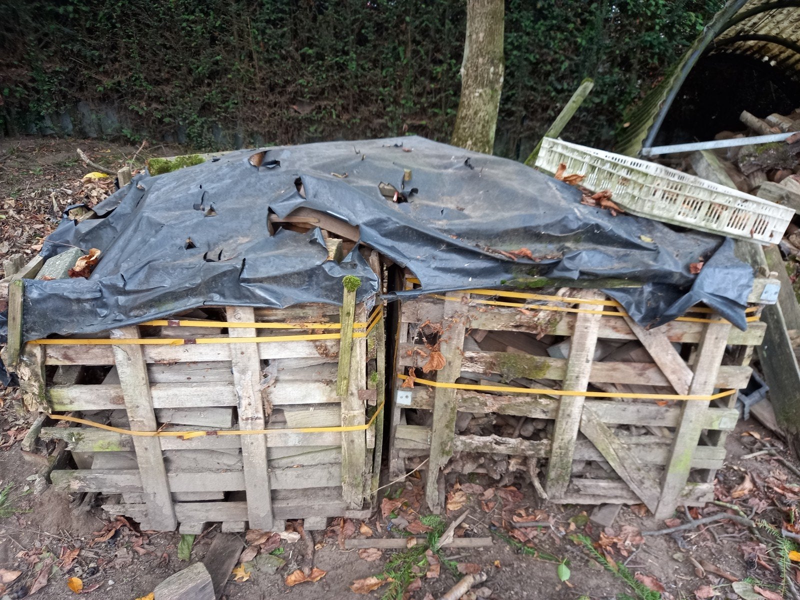 Brandhout, Tuin en Terras, Brandhout, Ophalen