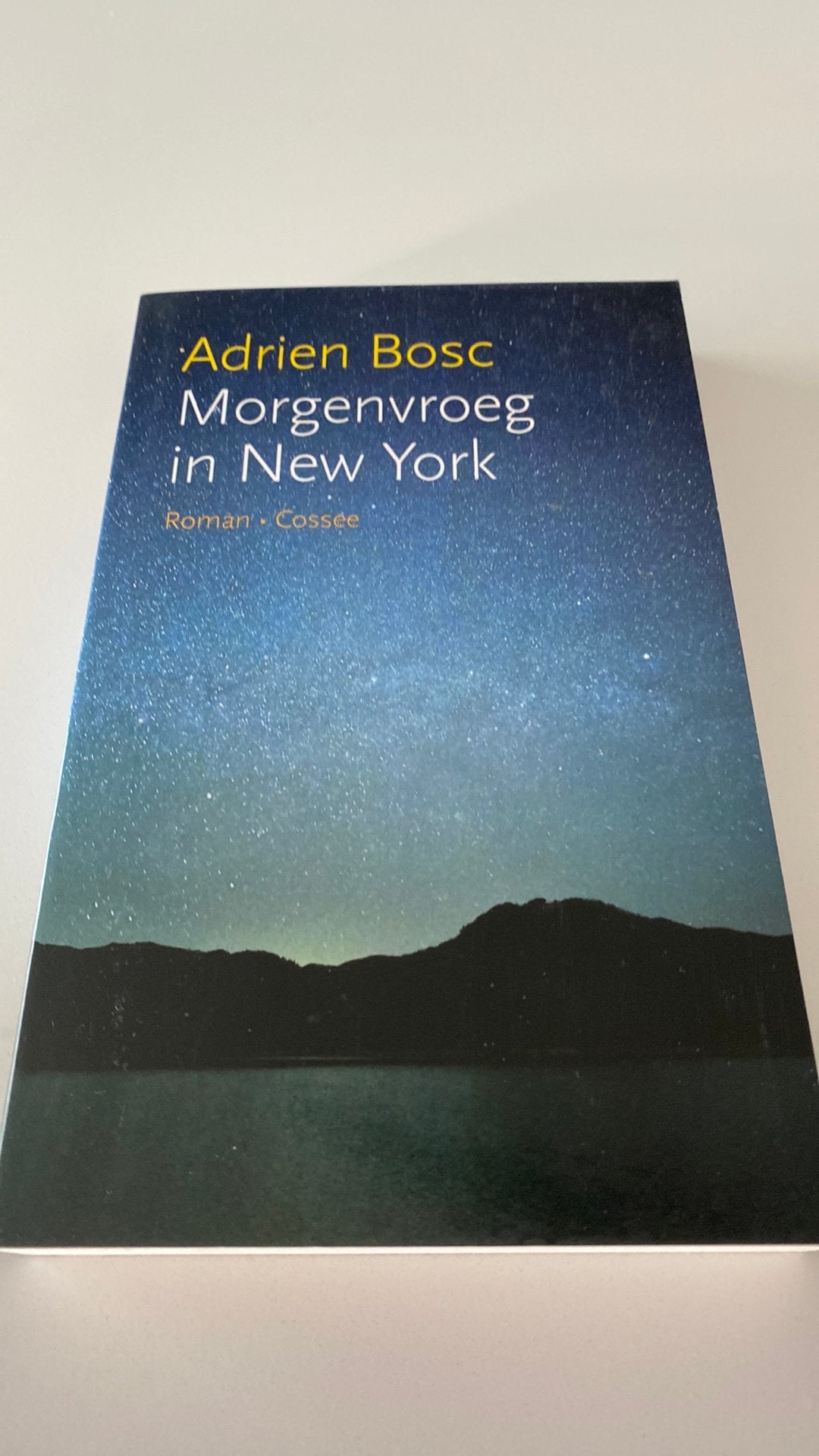 Adrien Bosc - Morgenvroeg in New York, Ophalen of Verzenden, Amerika, Adrien Bosc, Nieuw