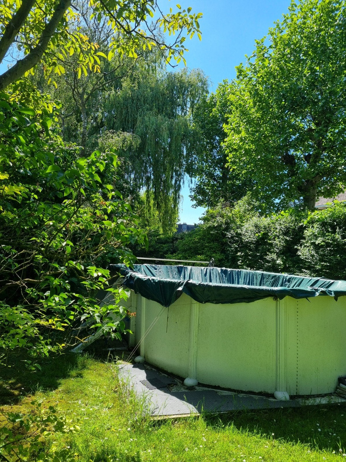 Wit, Jardin & Terrasse, Piscines, Enlèvement