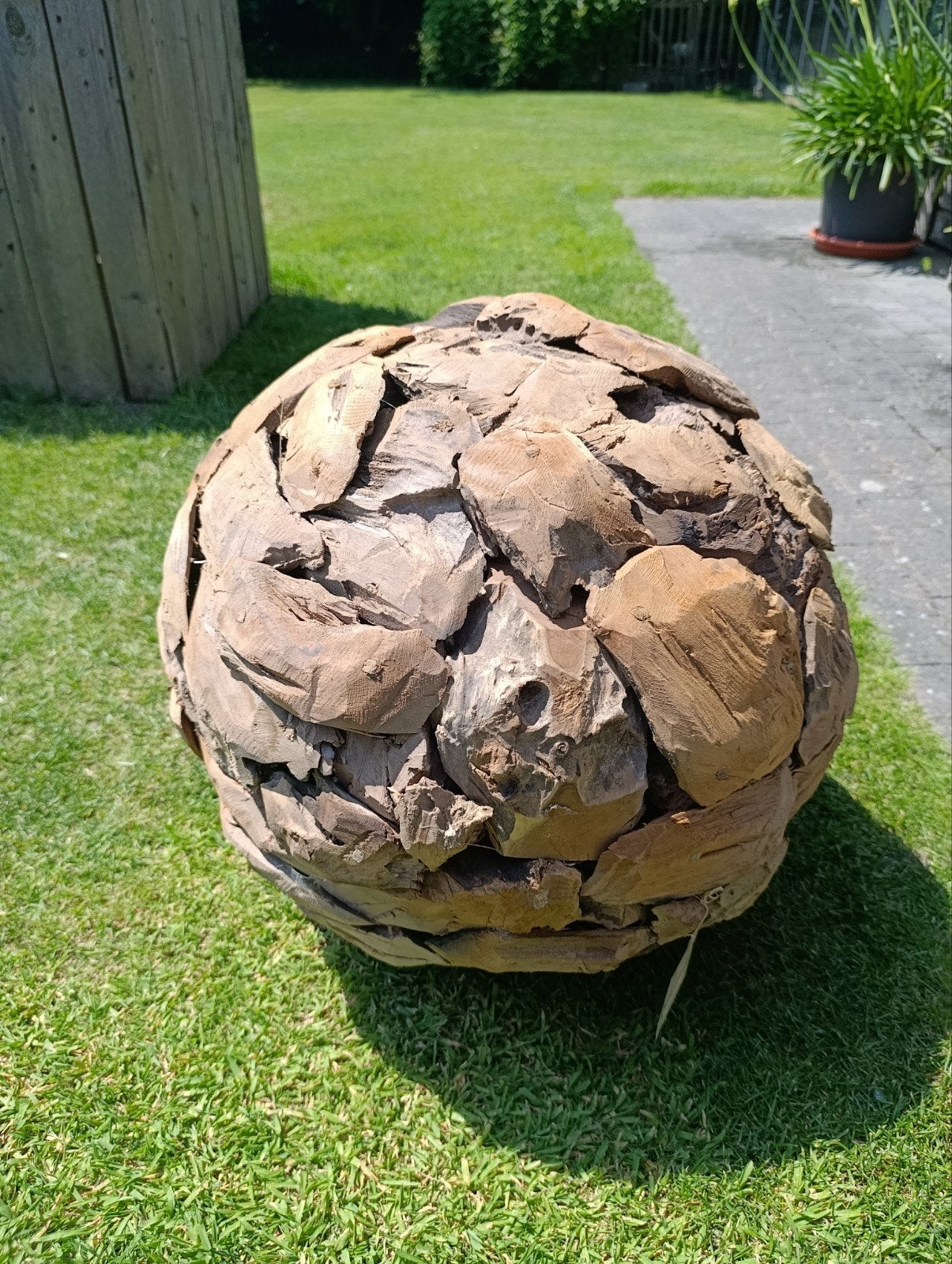 Houten bal, Enlèvement