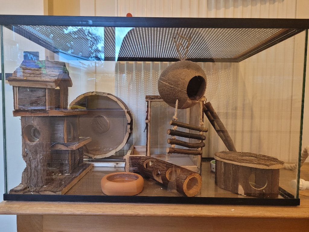 Hamsterkooi, Souris, Niche, Moins de 60 cm, Utilisé