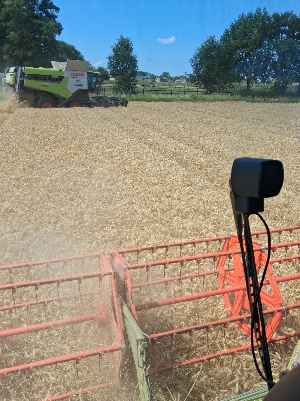 Kleine pakken stro, Zakelijke goederen, Landbouw | Veevoer, Ophalen
