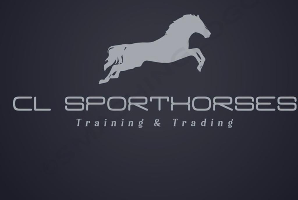 CL horses, Animaux & Accessoires, Chevaux