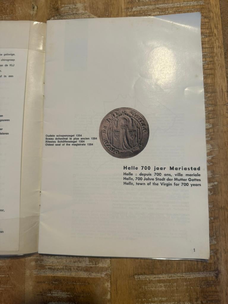 Halle, 700 jaar Mariastad *vintage toeristische gids*, Boeken, Ophalen of Verzenden, Reisgids of -boek, Benelux, Gelezen