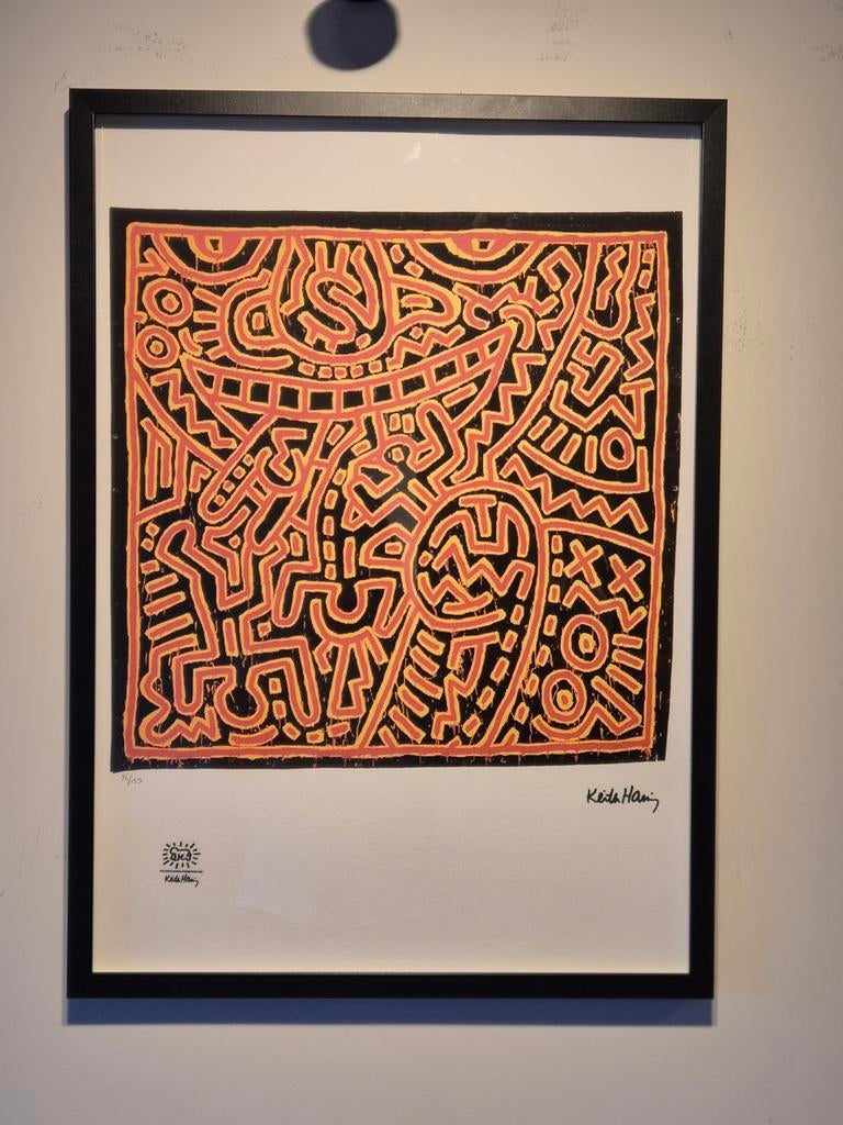 Keith Haring Litho, Enlèvement