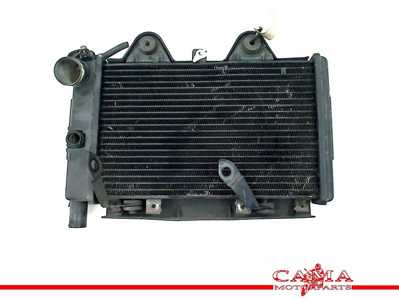 RADIATEUR Triumph Trophy 900 1996-2003 (01-1996/12-2003), Motoren, Dhr. S. di Majo, Gebruikt, Info@cama-motorparts.nl, P.J. Troelstraweg 8 8
3144 CX  MAASSLUIS, NL
