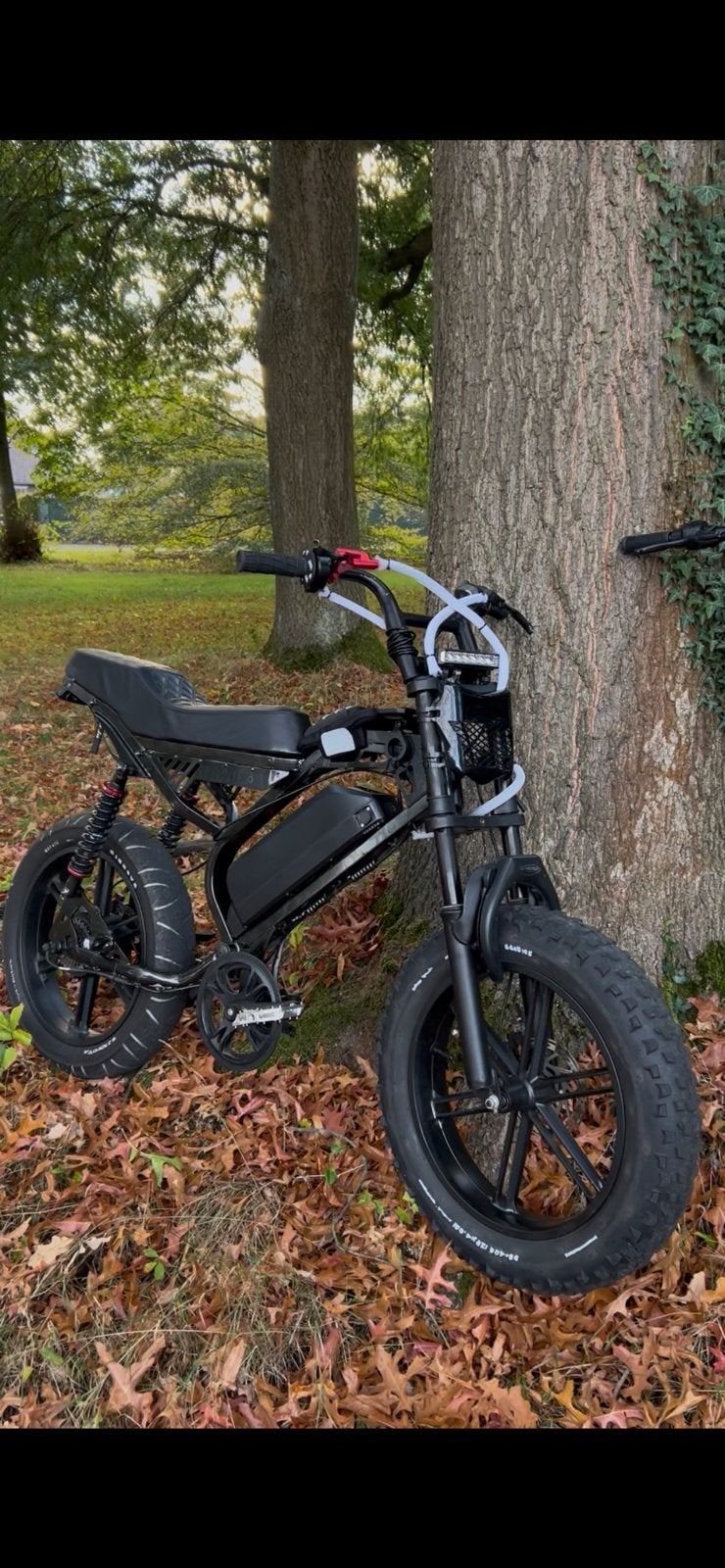 Fatbike custom s20 pro NIET RUILBAAR, Ophalen, Zo goed als nieuw