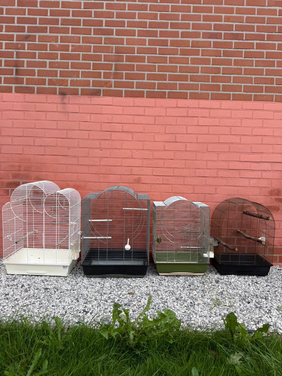 Cage oiseaux, Ophalen