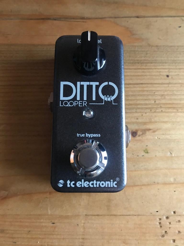 Ditto Looper TC electronic pedal, Ophalen, Zo goed als nieuw