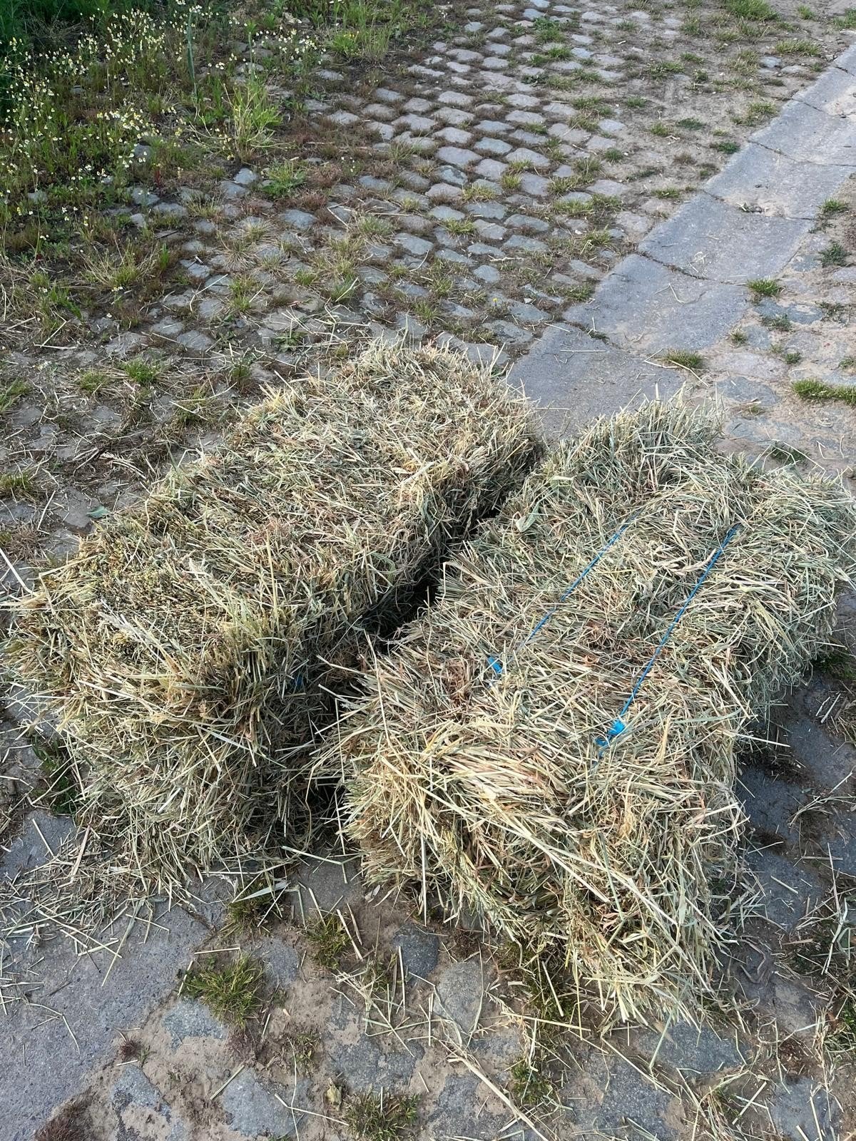 Kleine pakken hooi tekoop, Enlèvement ou Envoi