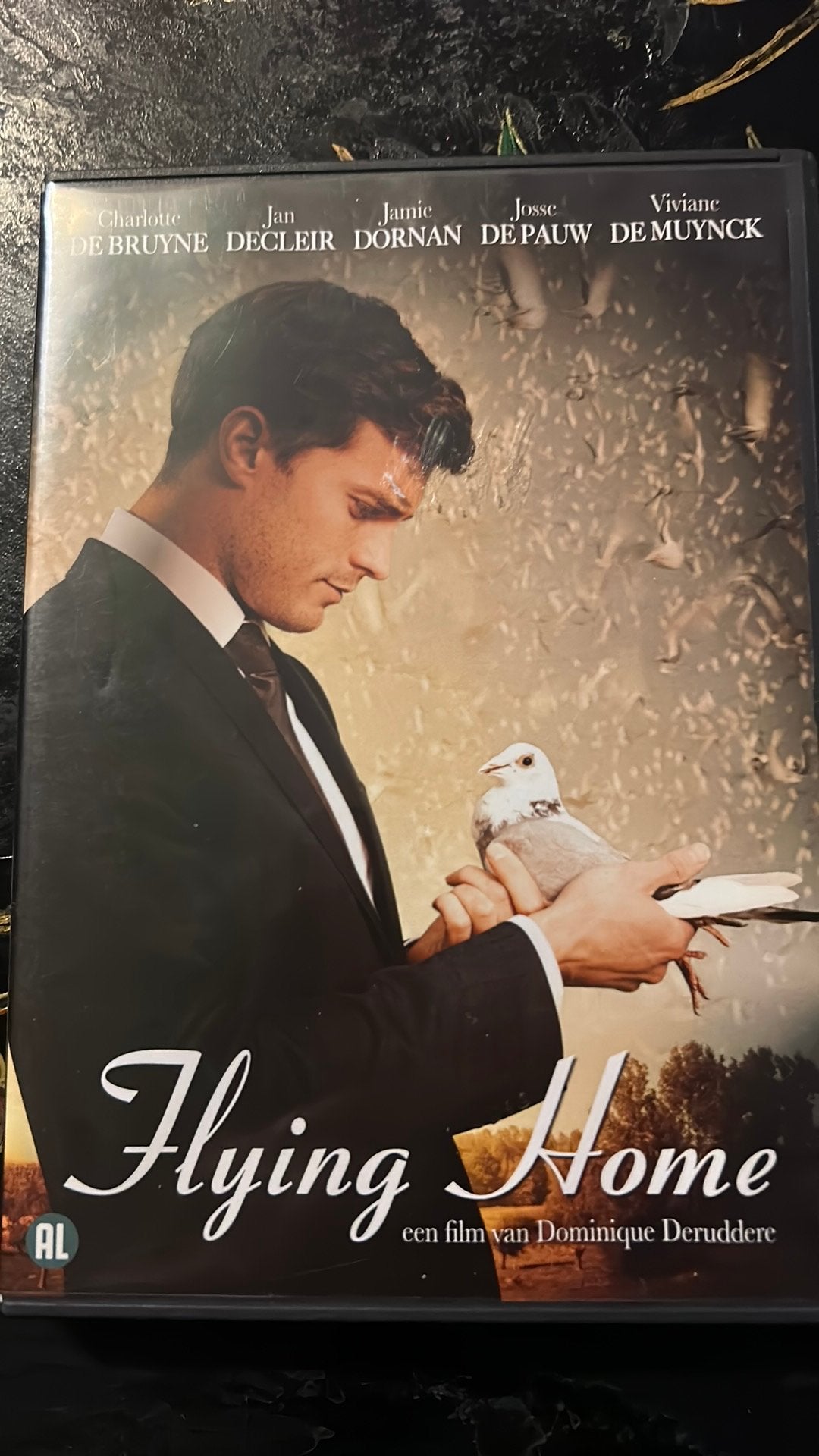 Flying Home, CD & DVD, DVD | Drame, Enlèvement ou Envoi, Comme neuf