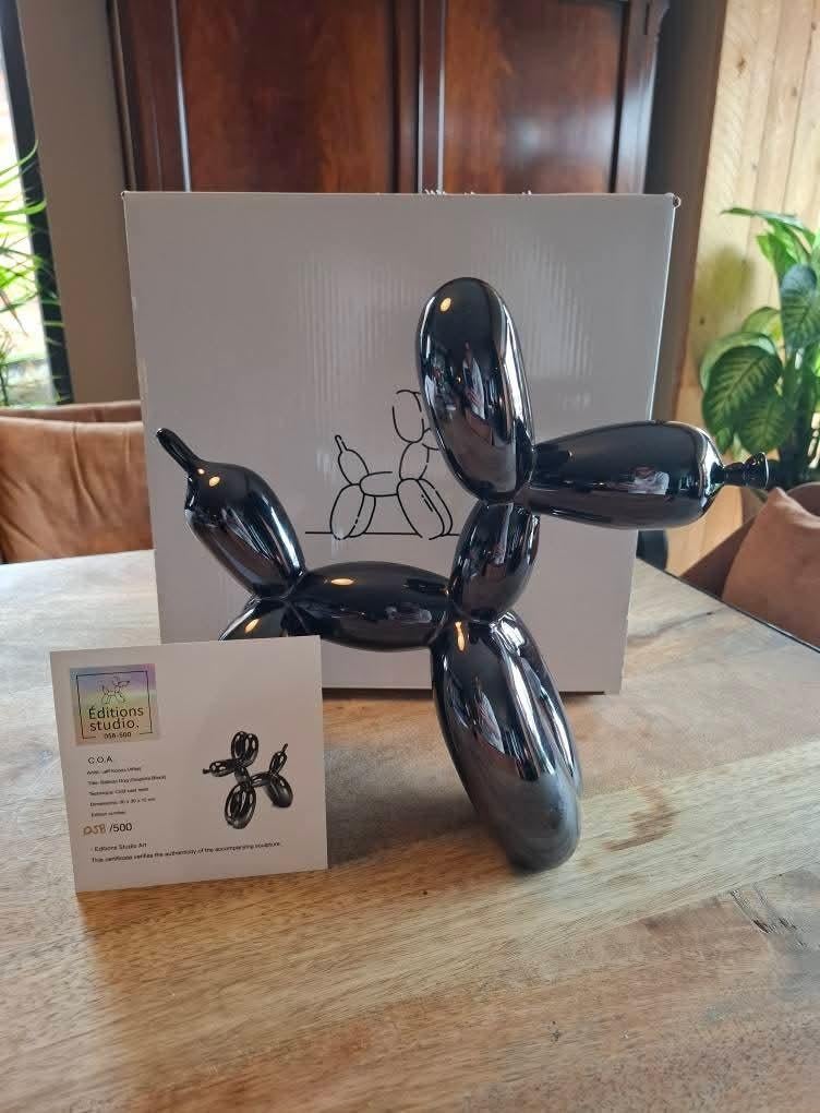 BALLOON DOG, Enlèvement