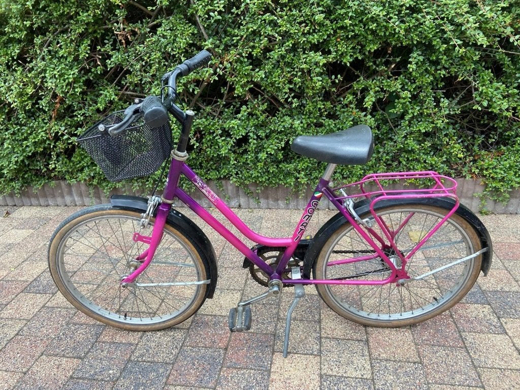 Leuke paars meisjeesfiets (20 inch) met mandje, Ophalen, 20 inch of meer, Gebruikt, Velgrem