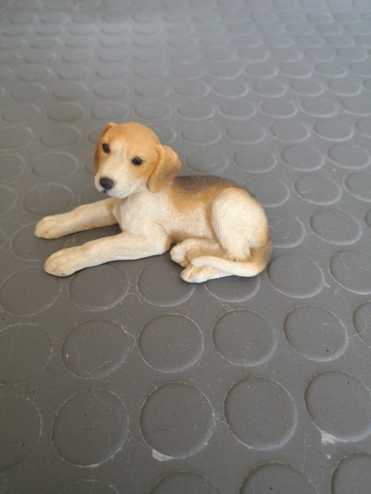 Posture beagle, Collections, Enlèvement ou Envoi
