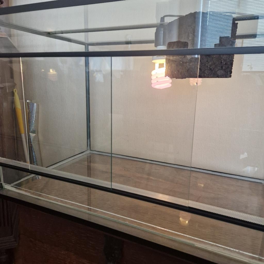 Terrarium, Dieren en Toebehoren, Ophalen, Gebruikt, Terrarium of Paludarium