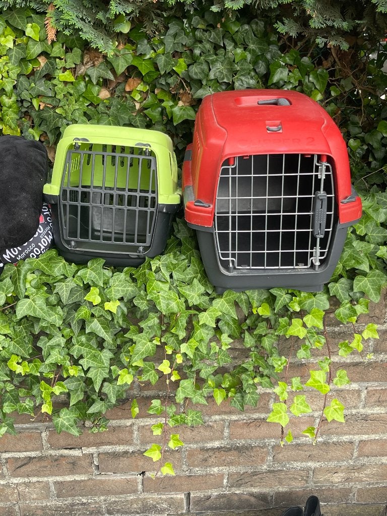 Boites de transport animaux, Enlèvement, Comme neuf