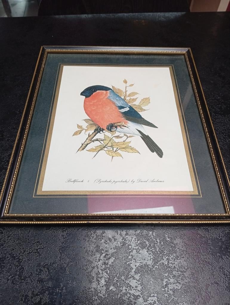 Vintage montuur