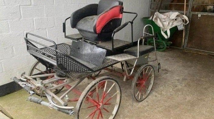 recreatiewagen voor a/b/c/d pony's, Gebruikt, Marathonwagen, Pony, Gesloten