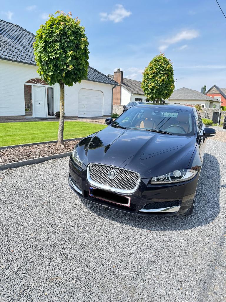 Jaguar XF, Autos, Jaguar, Cuir, Euro 5, Achat, Autres couleurs