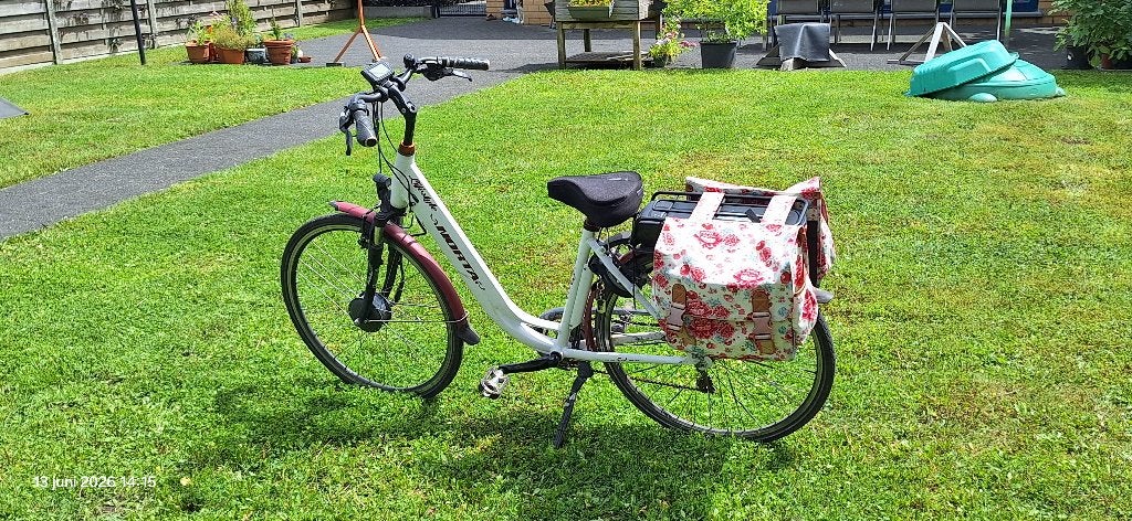 electrische fiets, Autres marques, 47 à 51 cm, Enlèvement, Utilisé