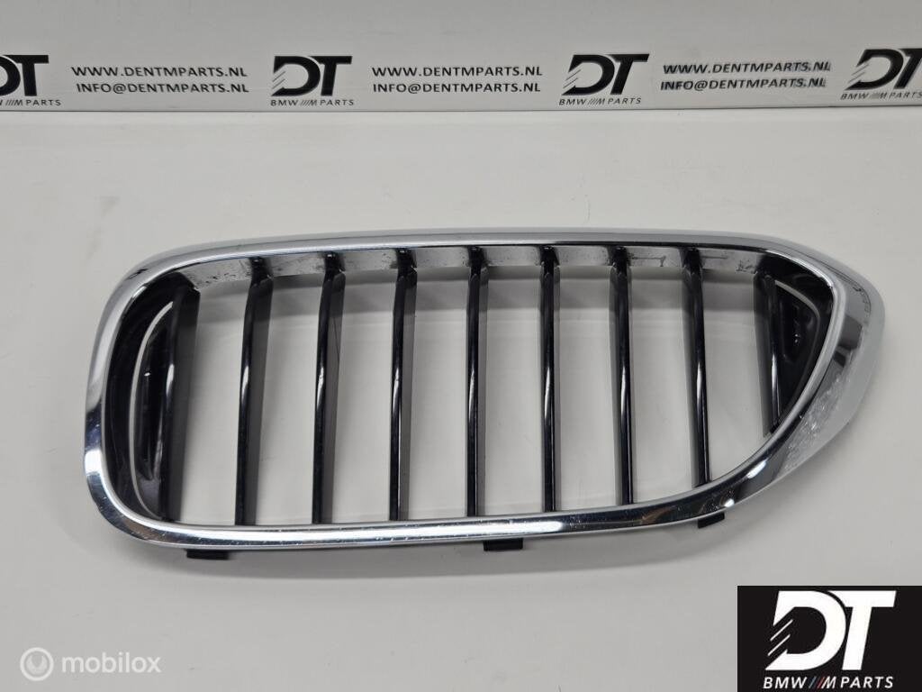 Grille links BMW 5-serie G30 G31 51137390863, Auto-onderdelen, Carrosserie, BMW, Gebruikt, Ophalen of Verzenden