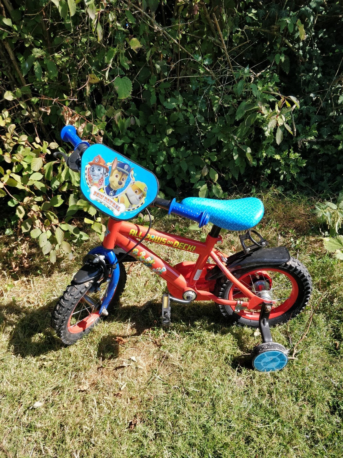 Vélo pour enfant Paw Patrol 12 pouces, Vélos & Vélomoteurs, Enlèvement