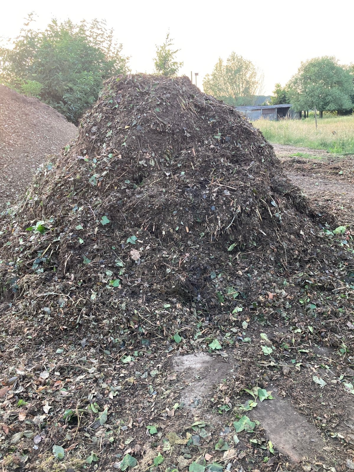 Gratis hakseling/mulching, Ophalen