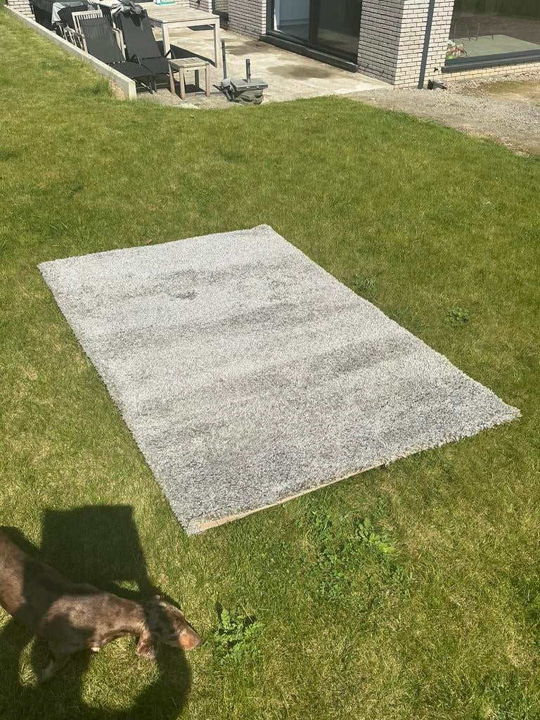 Tapijt, Maison & Meubles, Ameublement | Revêtements de sol, Gris, Enlèvement, Utilisé, Tapis