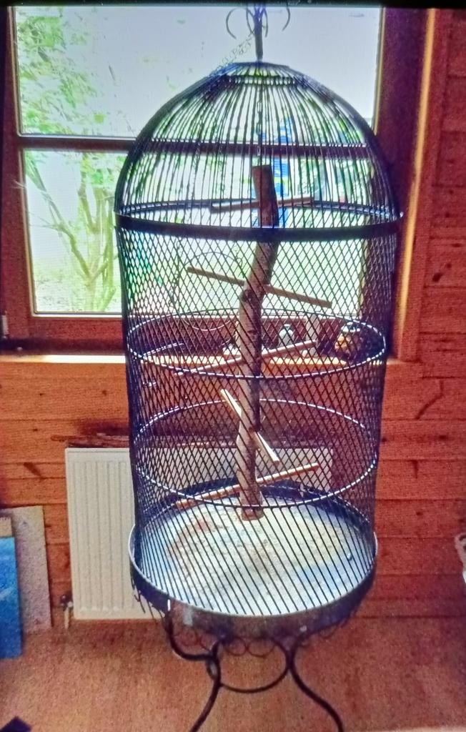 Cage à perroquets en métal, Enlèvement, Métal, Cage à oiseaux