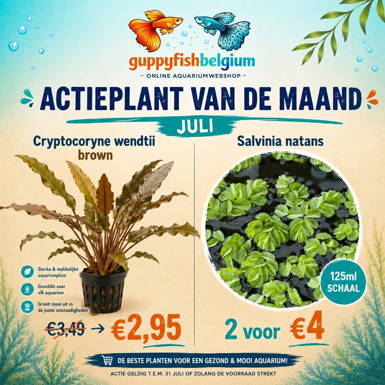 Aquariumplanten, Dieren en Toebehoren