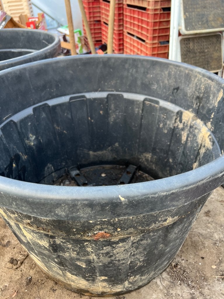 heel grote plantenkuip boomcontainer 180 liter 76 x 53,5 cm, 40 cm ou plus, 40 à 70 cm, Rond, Comme neuf