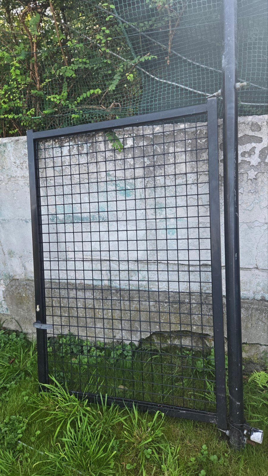 Poort, stalen voordeur, Tuin en Terras, Ophalen, 100 tot 150 cm, Nieuw, Draaipoort
