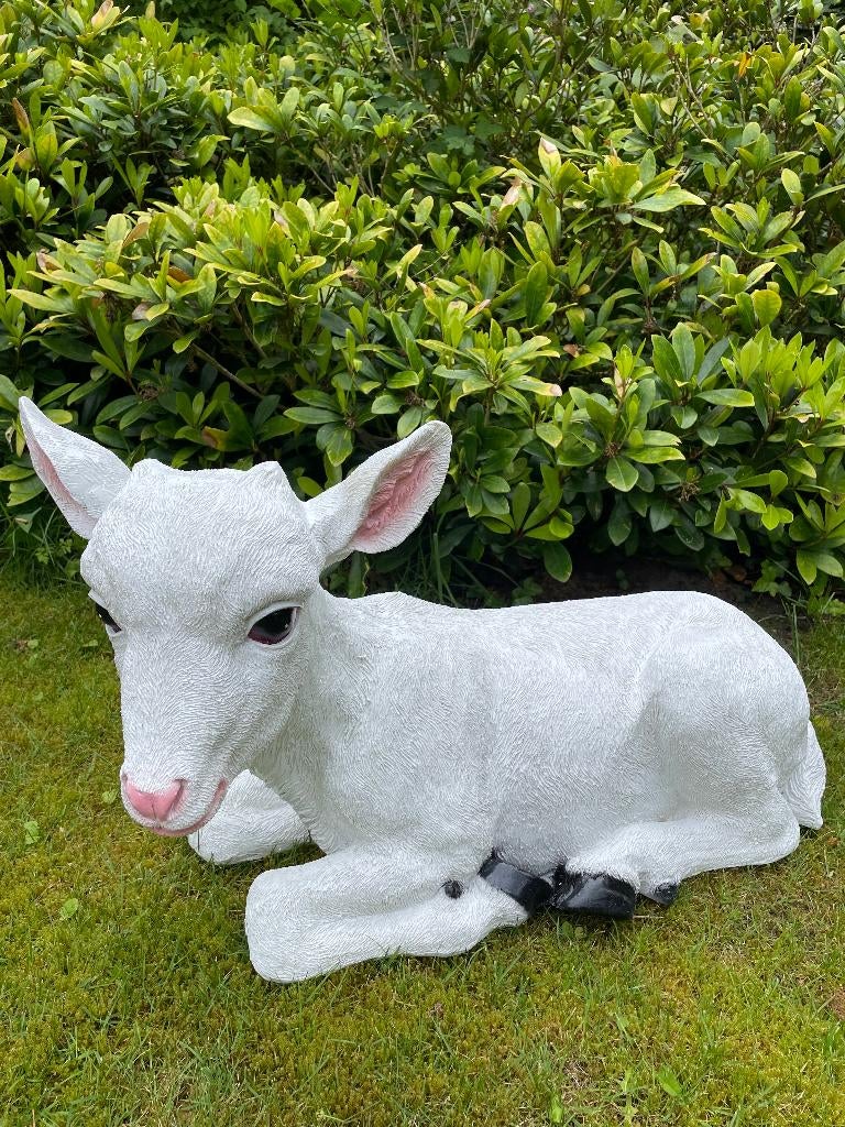 Geit liggend tuin, gazon, boerderij 75cm, Ophalen, Nieuw, Kunststof, Dierenbeeld