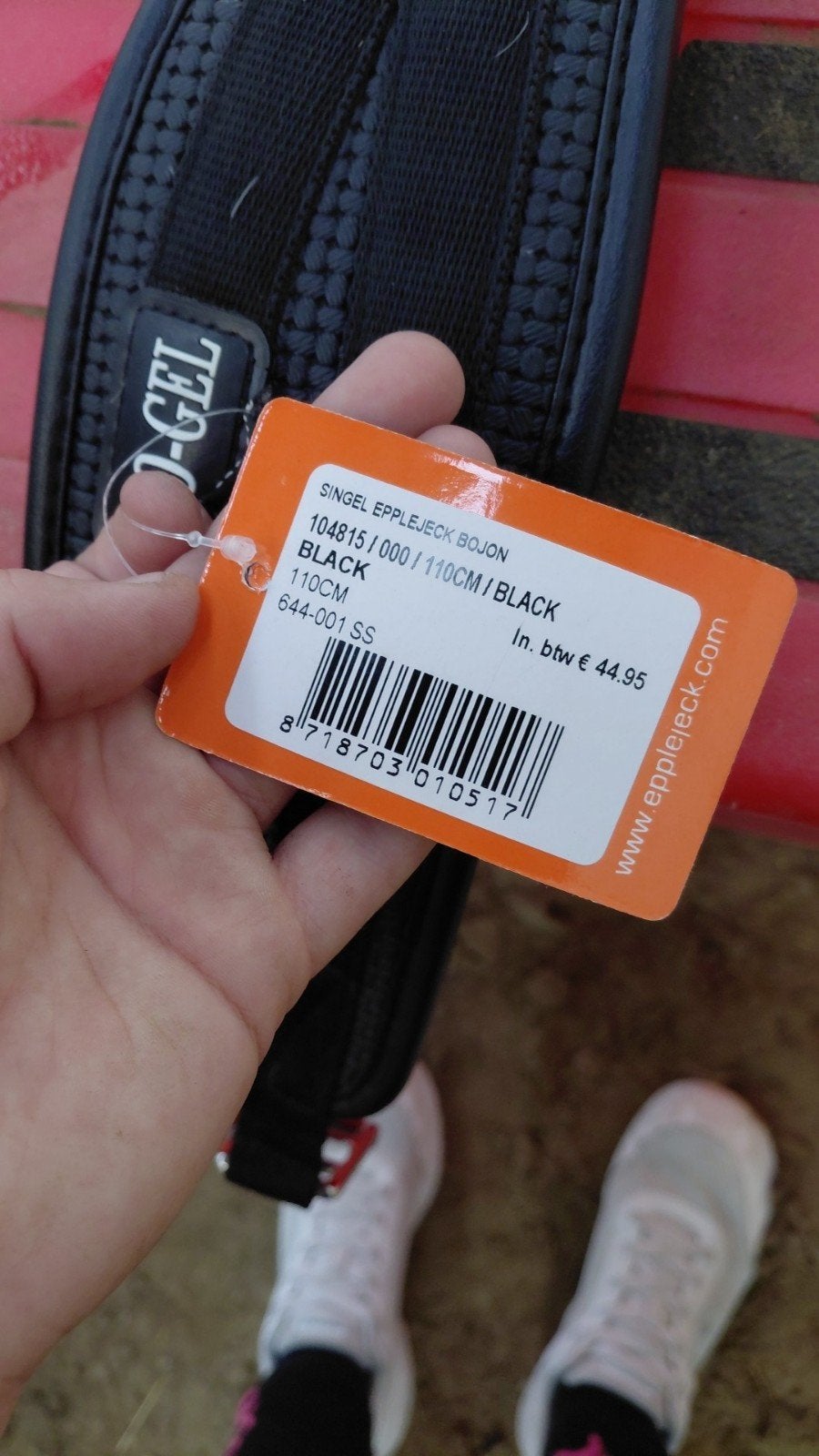 singel te koop, Dieren en Toebehoren
